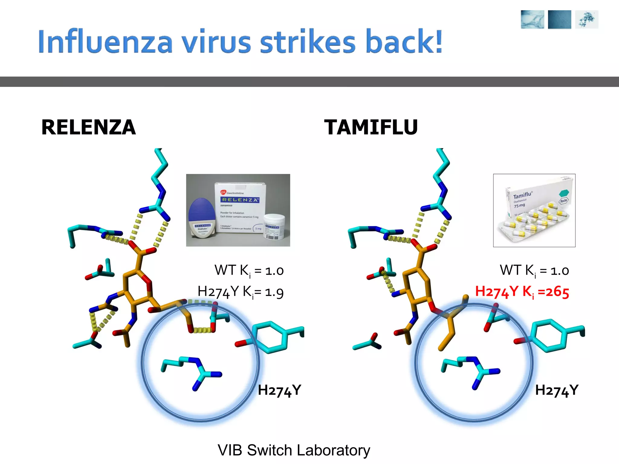 RELENZA TAMIFLU WT K i  = 1.0 H274Y K i = 1.9 WT K i  = 1.0 H274Y K i  =265 H274Y H274Y 