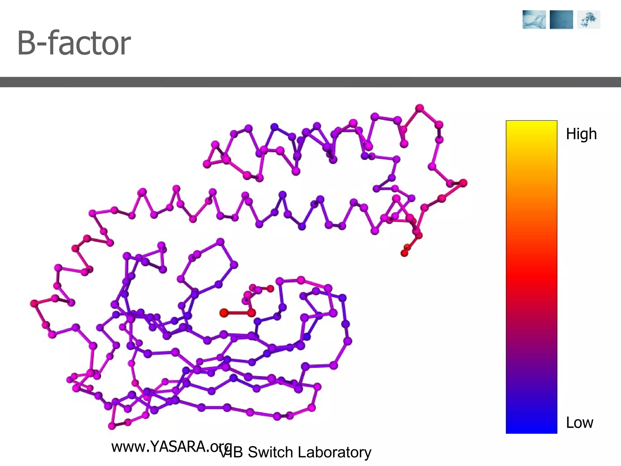 B-factor www.YASARA.org Low High 