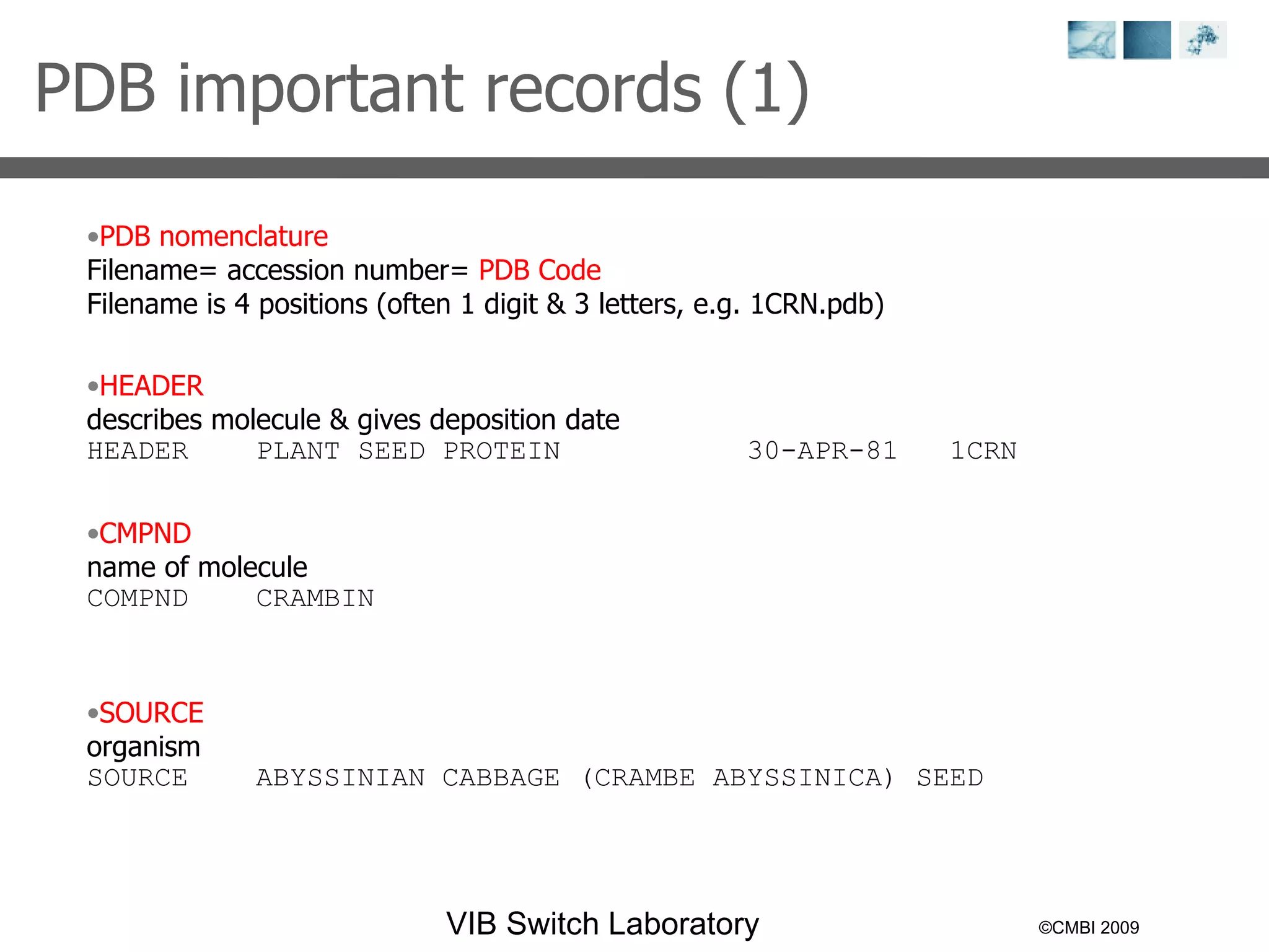 ©CMBI 2009 PDB important records (1)  PDB nomenclature Filename= accession number=  PDB Code Filename is 4 positions (often 1 digit & 3 letters, e.g. 1CRN.pdb) HEADER describes molecule & gives deposition date HEADER  PLANT SEED PROTEIN  30-APR-81  1CRN   CMPND name of molecule COMPND  CRAMBIN   SOURCE organism SOURCE  ABYSSINIAN CABBAGE (CRAMBE ABYSSINICA) SEED   