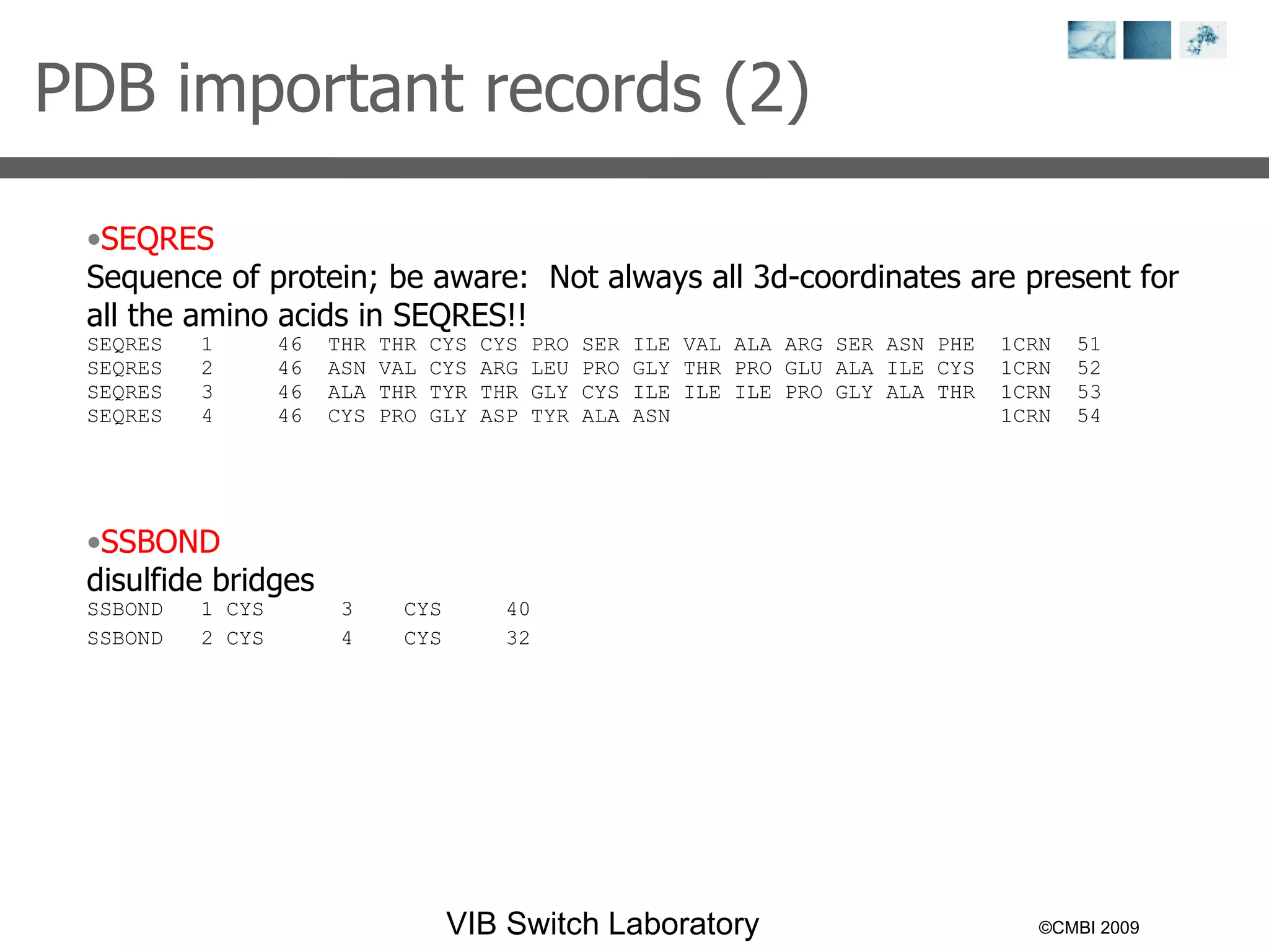 ©CMBI 2009 PDB important records (2)  SEQRES Sequence of protein; be aware:  Not always all 3d-coordinates are present for all the amino acids in SEQRES!! SEQRES  1  46  THR THR CYS CYS PRO SER ILE VAL ALA ARG SER ASN PHE  1CRN  51 SEQRES  2  46  ASN VAL CYS ARG LEU PRO GLY THR PRO GLU ALA ILE CYS  1CRN  52 SEQRES  3  46  ALA THR TYR THR GLY CYS ILE ILE ILE PRO GLY ALA THR  1CRN  53 SEQRES  4  46  CYS PRO GLY ASP TYR ALA ASN  1CRN  54 SSBOND disulfide bridges SSBOND  1 CYS  3  CYS  40  SSBOND  2 CYS  4  CYS  32  