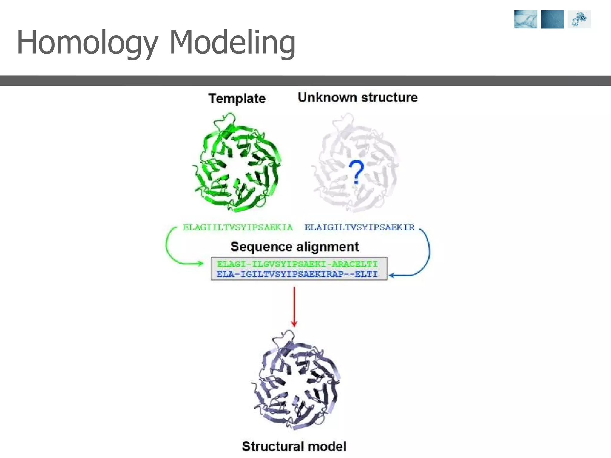 Homology Modeling 