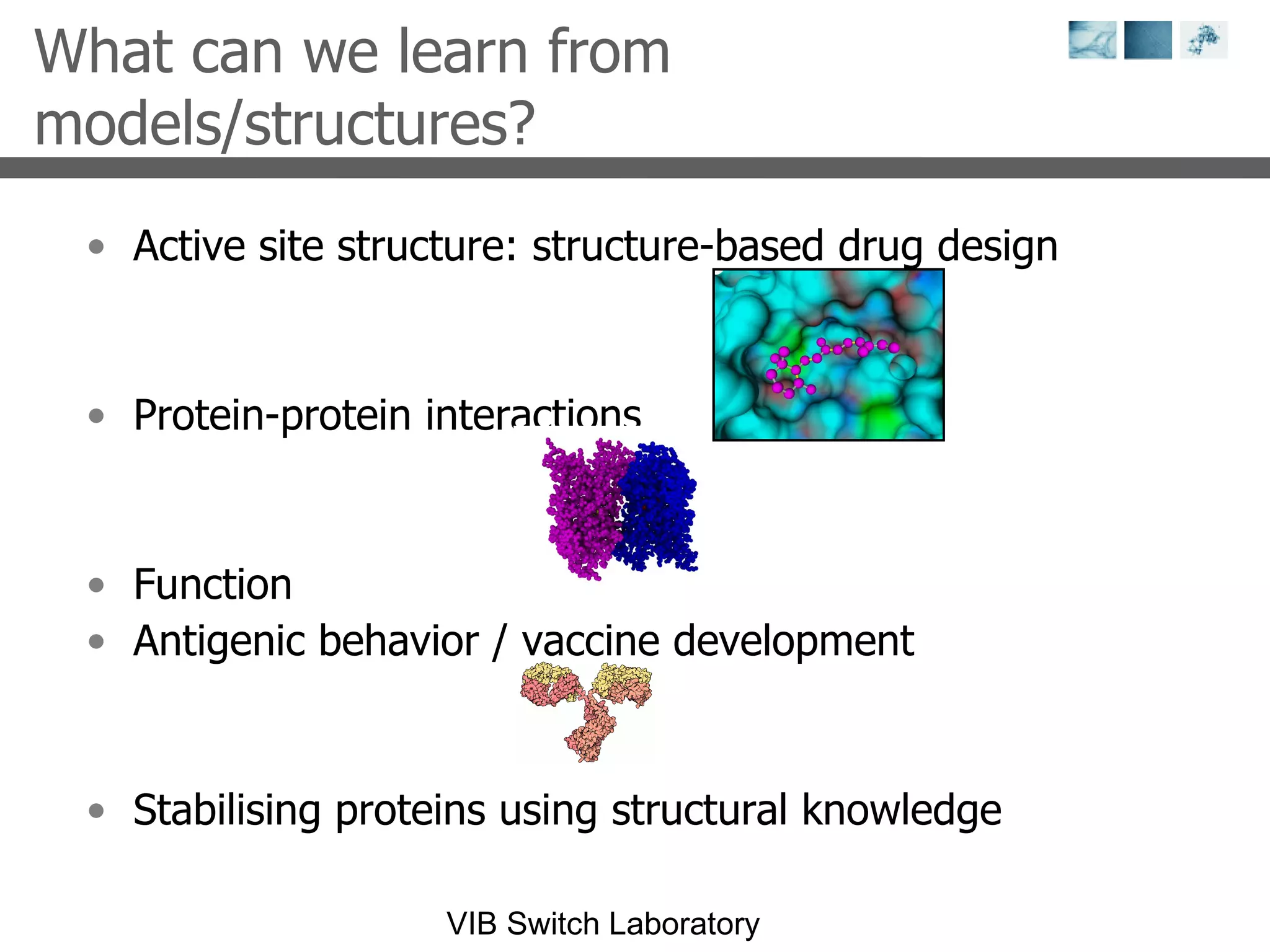 What can we learn from models/structures? Active site structure: structure-based drug design Protein-protein interactions Function Antigenic behavior / vaccine development Stabilising proteins using structural knowledge 