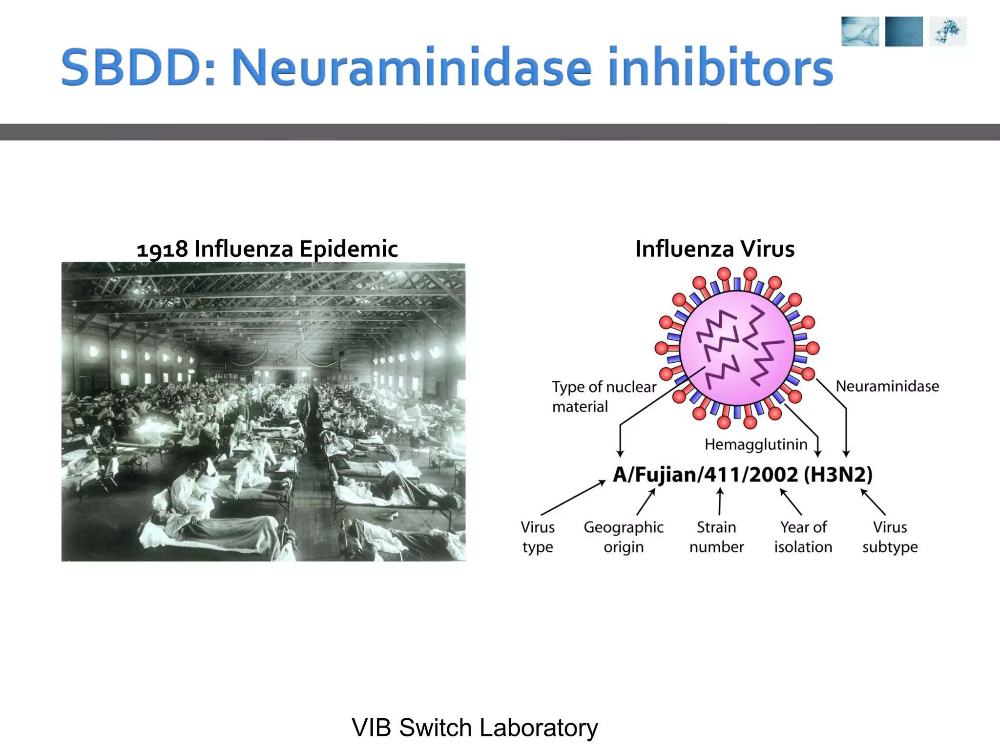 1918 Influenza Epidemic Influenza Virus 