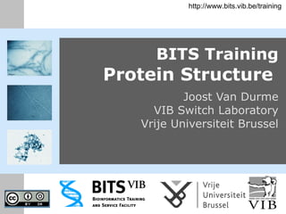 BITS Training Protein Structure   Joost Van Durme VIB Switch Laboratory Vrije Universiteit Brussel http://www.bits.vib.be/training 