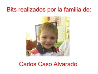 Bits realizados por la familia de:
Carlos Caso Alvarado
 