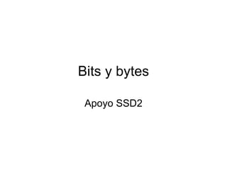 Bits y bytes Apoyo SSD2 