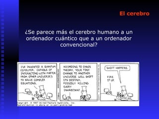 El cerebro
¿Se parece más el cerebro humano a un
ordenador cuántico que a un ordenador
convencional?
 