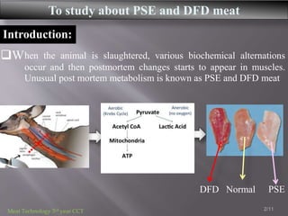 To Study About PSE And DFD Meat PPTX