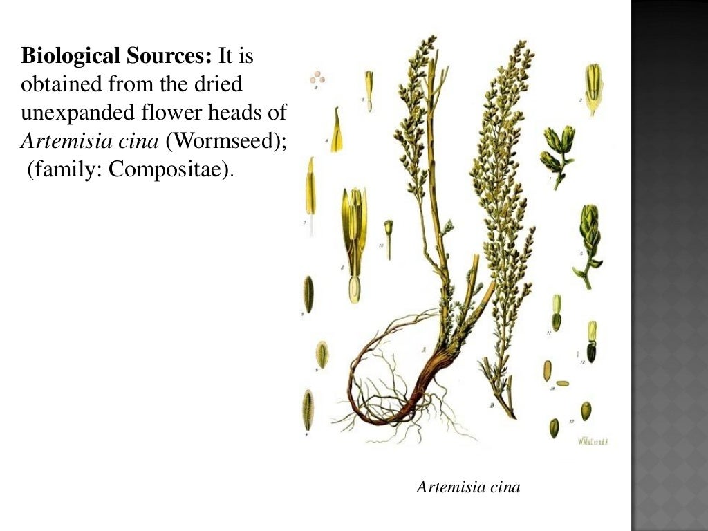 Bitter principles lec.1 (2017)