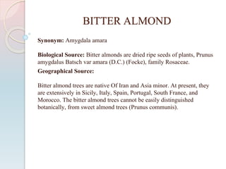 BITTER ALMOND
Synonym: Amygdala amara
Biological Source: Bitter almonds are dried ripe seeds of plants, Prunus
amygdalus Batsch var amara (D.C.) (Focke), family Rosaceae.
Geographical Source:
Bitter almond trees are native Of Iran and Asia minor. At present, they
are extensively in Sicily, Italy, Spain, Portugal, South France, and
Morocco. The bitter almond trees cannot be easily distinguished
botanically, from sweet almond trees (Prunus communis).
 