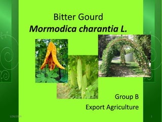 Bitter Gourd
Mormodica charantia L.
Group B
Export Agriculture
1/26/2014 1
 