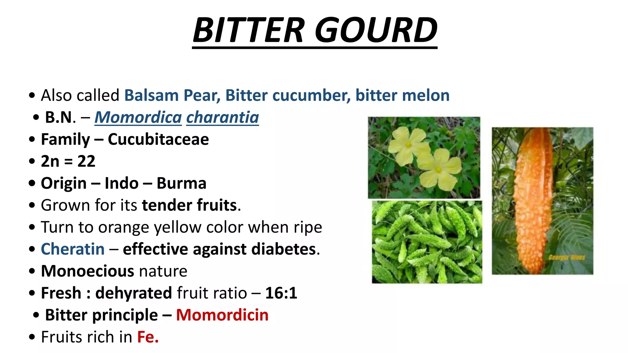 Bittergourd, Bitter gourd | PPTX