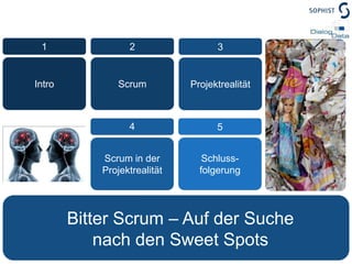 213ScrumIntroProjektrealität54Schluss-folgerungScrum in der ProjektrealitätBitter Scrum – Auf der Suche nach den Sweet Spots