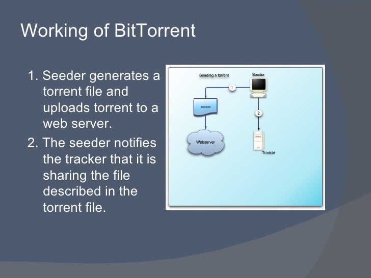 BitTorrent Protocol BitTorrent Protocol