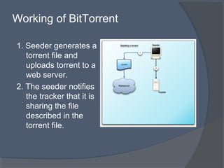 Bit Torrent Protocol