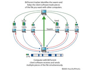 BitTorrent  TerminologyPeers – A node or computer that does not have the complete fileSeed or seeder - A computer with a complete copy of a BitTorrent fileSwarm- A group of computers simultaneously sending (uploading) or receiving (downloading) the same file .torrent - A pointer file that directs your computer to the file you want to download Tracker- A server that manages the BitTorrent file-transfer process