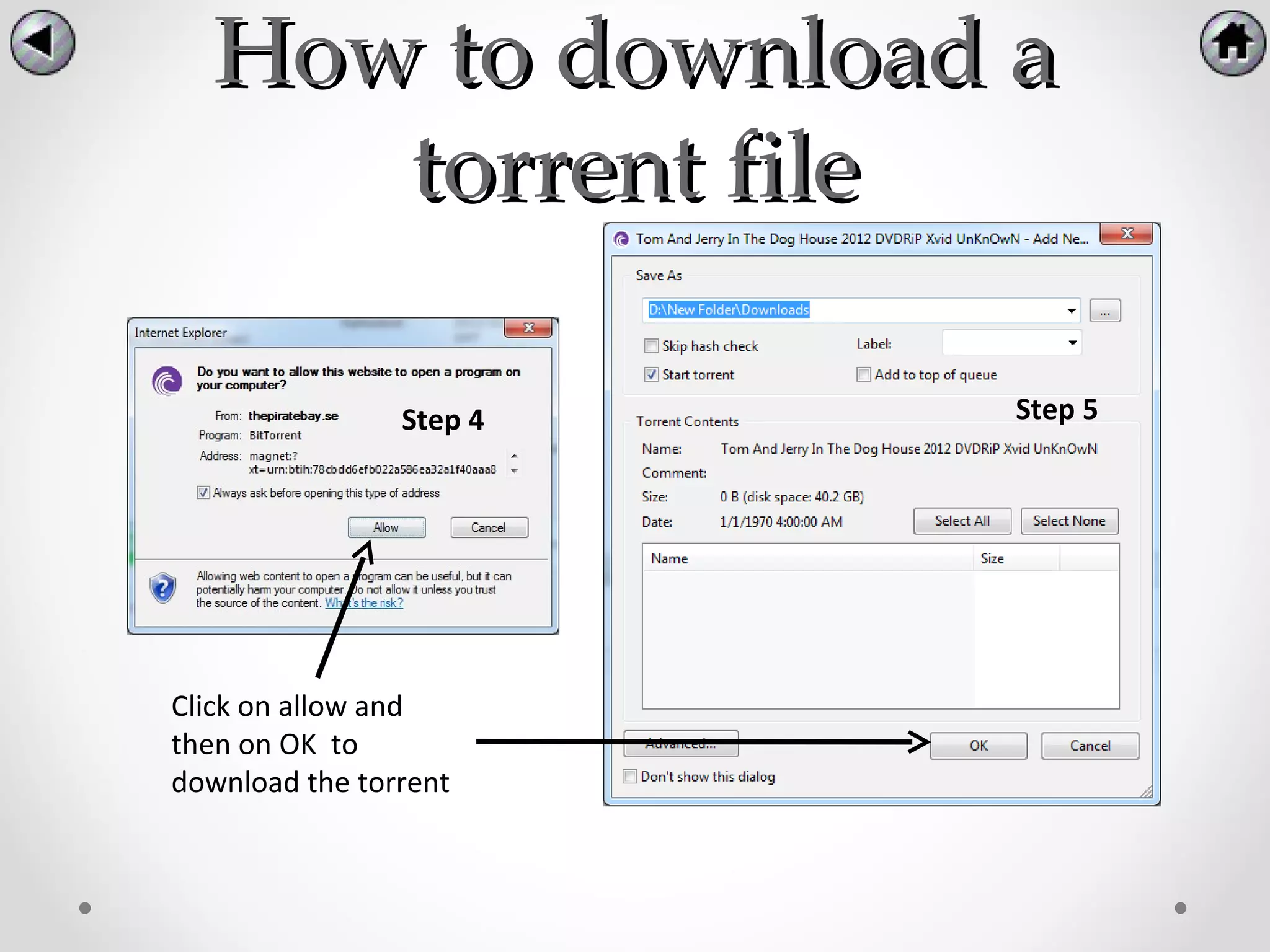 How to download a
     torrent file

                Step 4   Step 5




Click on allow and
then on OK to
download the torrent
 