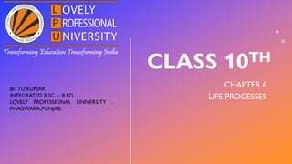 CLASS 10TH
CHAPTER 6
LIFE PROCESSES
BITTU KUMAR
INTEGRATED B.SC. – B.ED.
LOVELY PROFESSIONAL UNIVERSITY ,
PHAGWARA,PUNJAB.
 