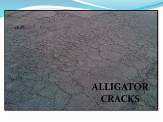 ALLIGATOR
CRACKS
 