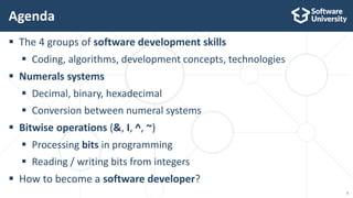 3
 The 4 groups of software development skills
 Coding, algorithms, development concepts, technologies
 Numerals system...