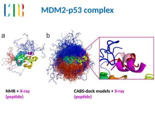 NMR + X-ray
(peptide)
CABS-dock models + X-ray
(peptide)
MDM2-p53 complex
 