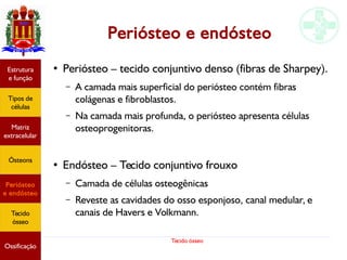 Tecido ósseo
Estrutura
e função
Tipos de
células
Matriz
extracelular
Ósteons
Periósteo
e endósteo
Tecido
ósseo
Ossificação
Periósteo e endósteo
●
Periósteo – tecido conjuntivo denso (fibras de Sharpey).
– A camada mais superficial do periósteo contém fibras
colágenas e fibroblastos.
– Na camada mais profunda, o periósteo apresenta células
osteoprogenitoras.
●
Endósteo – Tecido conjuntivo frouxo
– Camada de células osteogênicas
– Reveste as cavidades do osso esponjoso, canal medular, e
canais de Havers e Volkmann.
 