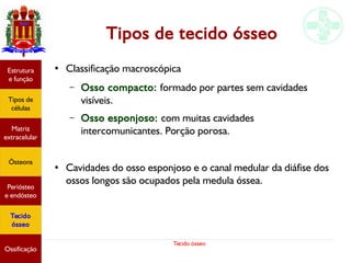 Tecido ósseo
Tipos de tecido ósseo
●
Classificação macroscópica
– Osso compacto: formado por partes sem cavidades
visíveis.
– Osso esponjoso: com muitas cavidades
intercomunicantes. Porção porosa.
●
Cavidades do osso esponjoso e o canal medular da diáfise dos
ossos longos são ocupados pela medula óssea.
Estrutura
e função
Tipos de
células
Matriz
extracelular
Ósteons
Periósteo
e endósteo
Tecido
ósseo
Ossificação
 