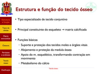 Tecido ósseo
Estrutura e função do tecido ósseo
● Tipo especializado de tecido conjuntivo
●
Principal constituinte do esqueleto matriz calcificada→
●
Funções básicas
– Suporte e proteção dos tecidos moles e órgãos vitais
– Alojamento e proteção da medula óssea
– Apoio do m. esquelético, transformando contração em
movimento
– Metabolismo do cálcio
Estrutura
e função
Tipos de
células
Matriz
extracelular
Ósteons
Periósteo
e endósteo
Tecido
ósseo
Ossificação
 