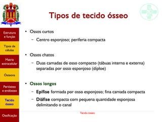 Tecido ósseo
Tipos de tecido ósseo
●
Ossos curtos
– Centro esponjoso; periferia compacta
●
Ossos chatos
– Duas camadas de osso compacto (tábuas interna e externa)
separadas por osso esponjoso (díploe)
●
Ossos longos
– Epífise formada por osso esponjoso; fina camada compacta
– Diáfise compacta com pequena quantidade esponjosa
delimitando o canal
Estrutura
e função
Tipos de
células
Matriz
extracelular
Ósteons
Periósteo
e endósteo
Tecido
ósseo
Ossificação
 