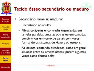 Tecido ósseo
Tecido ósseo secundário ou maduro
● Secundário, lamelar, maduro:
– Encontrado no adulto.
– Fibras colágenas encontradas organizadas em
lamelas paralelas umas às outras ou em camadas
concêntricas em torno de canais com vasos,
formando os sistemas de Havers ou ósteons.
– As lacunas, contendo osteócitos, estão em geral
situadas entre as lamelas ósseas, porém algumas
vezes estão dentro delas.
Estrutura
e função
Tipos de
células
Matriz
extracelular
Ósteons
Periósteo
e endósteo
Tecido
ósseo
Ossificação
 