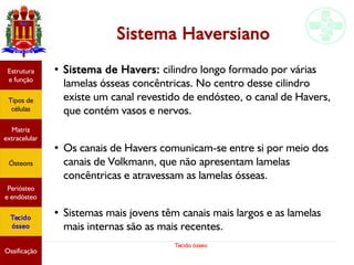 Tecido ósseo
Sistema Haversiano
● Sistema de Havers: cilindro longo formado por várias
lamelas ósseas concêntricas. No centro desse cilindro
existe um canal revestido de endósteo, o canal de Havers,
que contém vasos e nervos.
● Os canais de Havers comunicam-se entre si por meio dos
canais de Volkmann, que não apresentam lamelas
concêntricas e atravessam as lamelas ósseas.
● Sistemas mais jovens têm canais mais largos e as lamelas
mais internas são as mais recentes.
Estrutura
e função
Tipos de
células
Matriz
extracelular
Ósteons
Periósteo
e endósteo
Tecido
ósseo
Ossificação
 