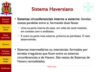 Tecido ósseo
Sistema Haversiano
●
Sistemas circunferenciais interno e externo: lamelas
ósseas paralelas entre si, formando duas faixas:
– Uma na parte interna do osso, em volta do canal medular,
em contato com o endósteo;
– E outra na parte mais externa, próxima ao periósteo. É mais
desenvolvido.
●
Sistemas intermediários ou intersticiais: formados por
lamelas irregulares que ficam entre os sistemas
circunferenciais e de Havers. São restos de Sistemas de
Havers remodelados.
Estrutura
e função
Tipos de
células
Matriz
extracelular
Ósteons
Periósteo
e endósteo
Tecido
ósseo
Ossificação
 