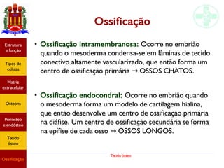 Tecido ósseo
Estrutura
e função
Tipos de
células
Matriz
extracelular
Ósteons
Periósteo
e endósteo
Tecido
ósseo
Ossificação
Ossificação
●
Ossificação intramembranosa: Ocorre no embrião
quando o mesoderma condensa-se em lâminas de tecido
conectivo altamente vascularizado, que então forma um
centro de ossificação primária OSSOS CHATOS.→
●
Ossificação endocondral: Ocorre no embrião quando
o mesoderma forma um modelo de cartilagem hialina,
que então desenvolve um centro de ossificação primária
na diáfise. Um centro de ossificação secundária se forma
na epífise de cada osso OSSOS LONGOS.→
 