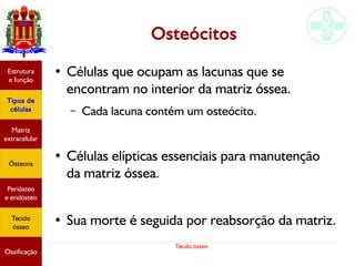 Tecido ósseo
Osteócitos
● Células que ocupam as lacunas que se
encontram no interior da matriz óssea.
– Cada lacuna contém um osteócito.
● Células elípticas essenciais para manutenção
da matriz óssea.
● Sua morte é seguida por reabsorção da matriz.
Estrutura
e função
Tipos de
células
Matriz
extracelular
Ósteons
Periósteo
e endósteo
Tecido
ósseo
Ossificação
 