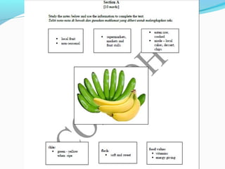 BI exam paper format UPSR 2016
