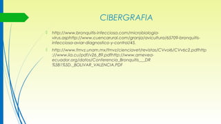 CIBERGRAFIA
 http://www.bronquitis-infecciosa.com/microbiologia-
virus.asphttp://www.cuencarural.com/granja/avicultura/65709-bronquitis-
infecciosa-aviar-diagnostico-y-control/45.
 http://www.fmvz.unam.mx/fmvz/cienciavet/revistas/CVvol6/CVv6c2.pdfhttp
://www.iia.cu/pdf/v26_89.pdfhttp://www.amevea-
ecuador.org/datos/Conferencia_Bronquitis___DR
%5B1%5D._BOLIVAR_VALENCIA.PDF
 