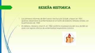 RESEÑA HISTORICARESEÑA HISTORICA
 Los primeros informes de BIA fueron hechos por Schalk y Hawn en 1931,
quienes observaron la enfermedad en el norte de Dakota, Estados Unidos, en
la primavera de 1930.
 En México, Moreno chan R. en 1962 confirmo la presencia del virus de BIA en
aves con signos clínicos de enfermedad respiratoria crónica.
 