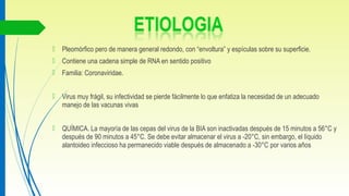  Pleomórfico pero de manera general redondo, con “envoltura” y espículas sobre su superficie.
 Contiene una cadena simple de RNA en sentido positivo
 Familia: Coronaviridae.
 Virus muy frágil, su infectividad se pierde fácilmente lo que enfatiza la necesidad de un adecuado
manejo de las vacunas vivas
 QUÍMICA. La mayoría de las cepas del virus de la BIA son inactivadas después de 15 minutos a 56°C y
después de 90 minutos a 45°C. Se debe evitar almacenar el virus a -20°C, sin embargo, el líquido
alantoideo infeccioso ha permanecido viable después de almacenado a -30°C por varios años
 