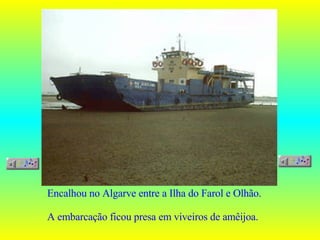 Encalhou no Algarve entre a Ilha do Farol e Olhão. A embarcação ficou presa em viveiros de amêijoa. 