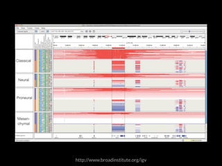 http://www.broadinstitute.org/igv 
 