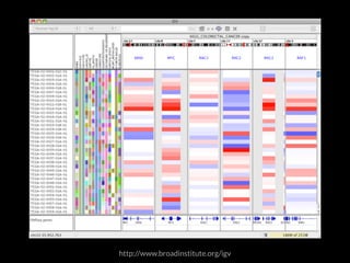 http://www.broadinstitute.org/igv 
 