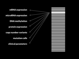 mRNA expression 
microRNA expression 
DNA methylation 
protein expression 
copy number variants 
mutation calls 
clinical parameters 
 