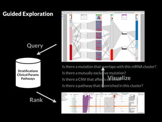 Is there a mutation that overlaps with this mRNA cluster? 
Is there a mutually exclusive mutation? 
Is there a CNV that affects survival? 
Is there a pathway that is enriched in this cluster? 
Guided Exploration 
Query 
Rank 
Visualize 
Stratifications 
Clinical Params 
Pathways 
 