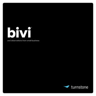 bivi
                          ®




and observations from small business
 