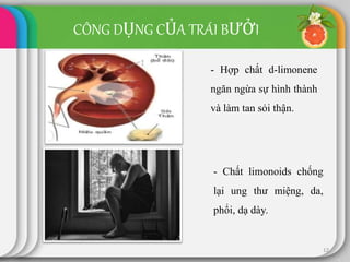 12
- Hợp chất d-limonene
ngăn ngừa sự hình thành
và làm tan sỏi thận.
- Chất limonoids chống
lại ung thư miệng, da,
phổi, dạ dày.
CÔNG DỤNG CỦA TRÁI BƯỞI
 