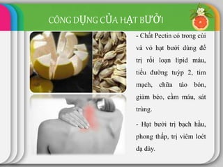 CÔNG DỤNG CỦA HẠT BƯỞI
20
- Chất Pectin có trong cùi
và vỏ hạt bưởi dùng để
trị rối loạn lipid máu,
tiểu đường tuýp 2, tim
mạch, chữa táo bón,
giảm béo, cầm máu, sát
trùng.
- Hạt bưởi trị bạch hầu,
phong thấp, trị viêm loét
dạ dày.
 