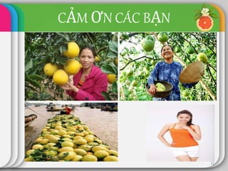 CẢM ƠN CÁC BẠN
22
 