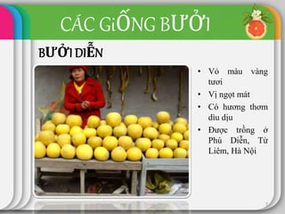 CÁC GiỐNG BƯỞI
BƯỞI DIỄN
• Vỏ màu vàng
tươi
• Vị ngọt mát
• Có hương thơm
dìu dịu
• Được trồng ở
Phú Diễn, Từ
Liêm, Hà Nội
7
 