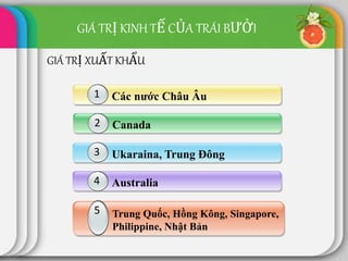 Canada2
Ukaraina, Trung Đông3
Australia4
1 Trung Quốc, Hồng Kông, Singapore,
Philippine, Nhật Bản
5
Các nước Châu Âu11
GIÁ TRỊ KINH TẾ CỦA TRÁI BƯỞI
GIÁ TRỊ XUẤT KHẨU
 