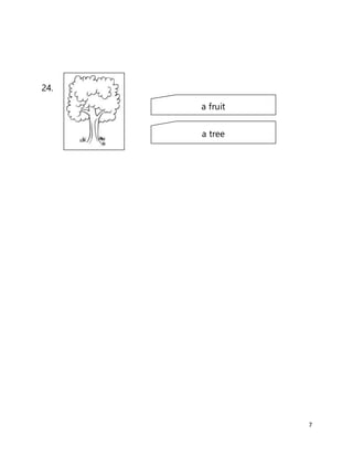 7
24.
a fruit
a tree
 